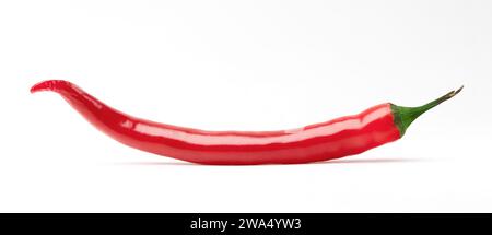 Rote heiße Chilischote isoliert auf weißem Hintergrund. Nahaufnahme. Seitenansicht. Stockfoto