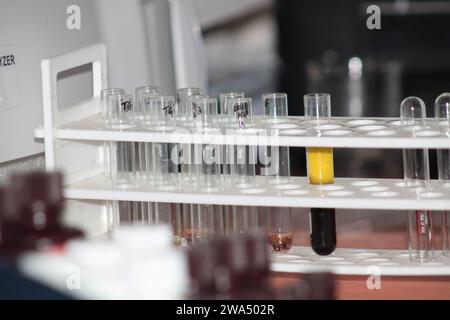 Reagenzglas Für Labor. Indien Stockfoto