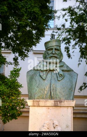 Büste Giuseppe Garibaldi auf dem Gelände rund um das Ungarische Nationalmuseum Budapest, Ungarn Giuseppe Maria Garibaldi (4. Juli 1807 – 2. Juni 1882) Stockfoto