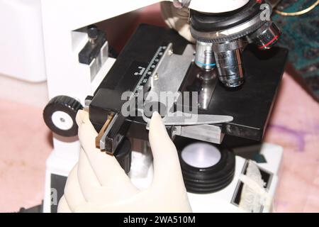 Pathologin mit Mikroskop untersuchen. Indien Stockfoto