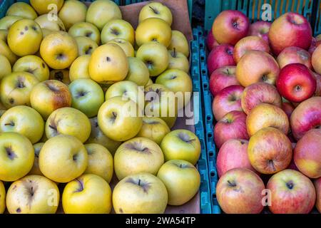 Grüne und rote Äpfel zum Verkauf auf dem Markt Stockfoto