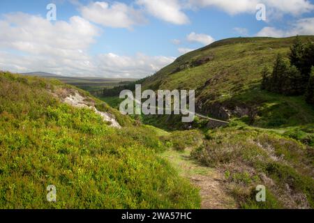 Wunderschöne Landschaft beim Wandern durch das County Wicklow in Irland Stockfoto