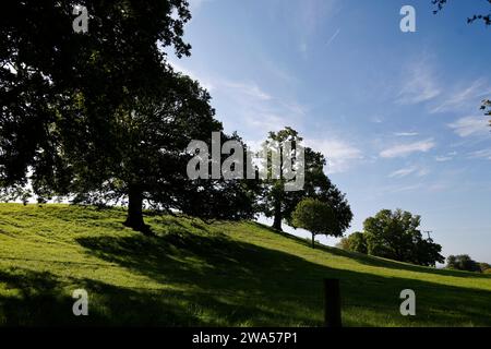 Blauer Himmel über Chase End Hill, Herefordshire, dem Beginn der Malvern Hills. Stockfoto