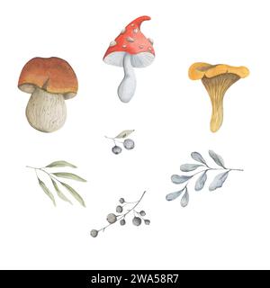 Im Herbst Pilze Stockfoto