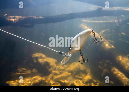 Ein dicker Wobbler schwimmt unter dem Wasser vorbei an vielen Snacks beim Angeln. Es simuliert die Beutefische. Sonnenlicht dringt durch die Wassersäule und ein Stockfoto