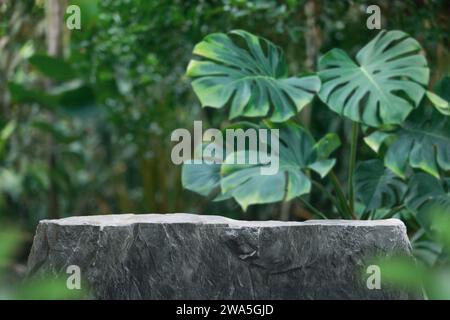 Stein-Tischplatte Podium Boden im tropischen Garten Wald Unschärfe grüne Blatt Pflanze Natur Hintergrund. Natürliche Produktplatzierung Sockel Stand DIS Stockfoto