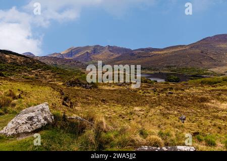 Ladies View, ein Aussichtspunkt auf Upper Lake auf der N71 Teil des Ring of Kerry, Killarney National Park, Co. Kerry, Irland. Stockfoto