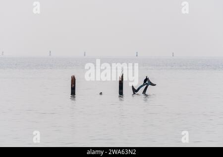 Grado (Italien) Meer an einem Wintertag mit einem dicken Nebel, der die Umgebung suggestiv und mystisch macht. In der Ferne stand ein Kormoran. Stockfoto