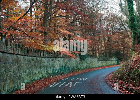 Rhosberse Road im Herbst, Coedpoeth, Wales Stockfoto