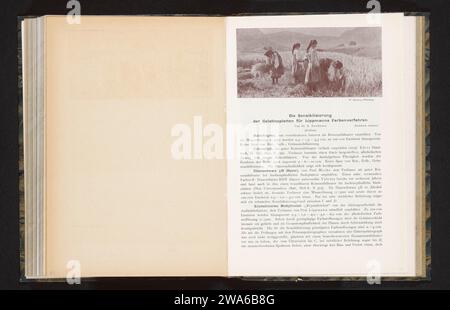 Ansicht von vier unbekannten Frauen, die auf dem Feld arbeiten, Wilhelm Dreesen, um 1895 - in oder vor 1900 fotomechanischen Druckpapierbauern - AA - Landwirtin, Bäuerin. Pflanzen und Kräuter: Weizen Stockfoto