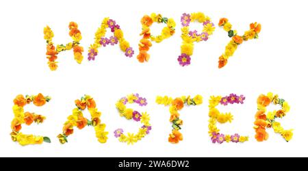 Text HAPPY EASTER aus gelber und rosa Blume. blumenschrift kann als Poster, Postkarte, Gutschein, Gutschein, Geschenk, Einladung zur Feier h Stockfoto