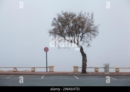 Arcachon, Gironde Abteilung im Südwesten Frankreichs. Stockfoto