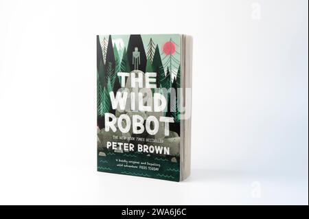 Nova Bana, Slowakei - 31. Dezember 2023: The White Robot, Buch von Peter Brown, isoliert auf weißem Hintergrund. Bucheinband.; Stockfoto