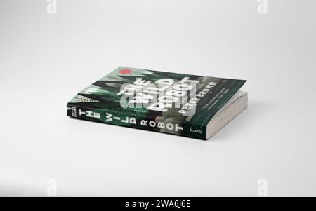 Nova Bana, Slowakei - 31. Dezember 2023: The White Robot, Buch von Peter Brown, isoliert auf weißem Hintergrund. Bucheinband.; Stockfoto