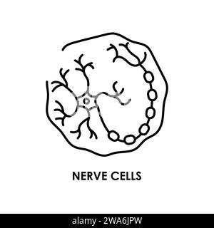 Symbol für die Farblinie der Hirnneuronenzellen. Mikroorganismen Mikroben, Bakterien. Vektorisoliertes Element. Bearbeitbare Kontur. Stock Vektor