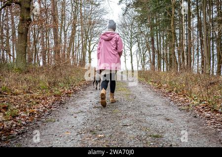 Waldspaziergang mit Hund 02.01.2024, Selters: Symbolfoto, Illustrationsbild, Symbolbild, Illustrationsfoto eine Frau, eingehüllt in warme regenfeste Kleidung, erkundet von hinten gesehen einen Waldweg, begleitet von ihrem treuen Hund. Die Szene fängt die ruhige Atmosphäre eines winterlichen nassen Waldes ein. Das harmonische Zusammenspiel von Natur und Mensch-Hund-Beziehung wird betont. Selters Hessen Deutschland *** Waldspaziergang mit Hund 02 01 2024, Selters Symbolfoto, Illustrationsfoto, Symbolfoto Eine Frau, gewickelt in warme regenfeste Kleidung, erkundet einen Waldweg aus der Nähe von Stockfoto