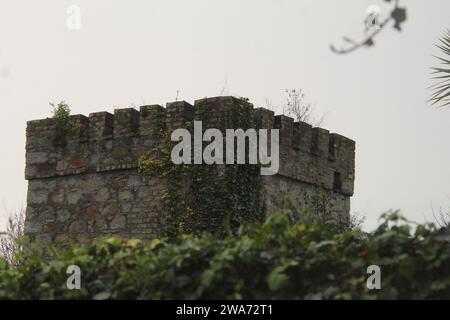 Dublin, Irland - 3. Januar 2024: Ein Landschaftsfoto einer detaillierten alten kleinen Burg im Garten eines Hauses. Stockfoto