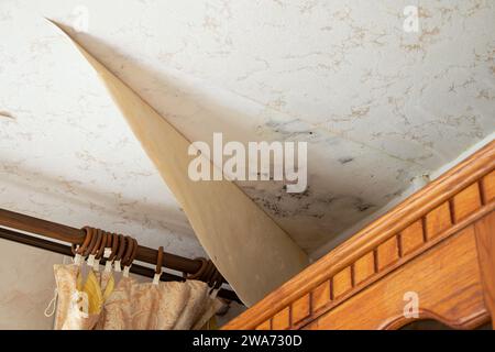 Die Tapete zog sich an der Decke in der Küche in der Ecke nach der Überschwemmung ab, Wohnungsrenovierung Stockfoto