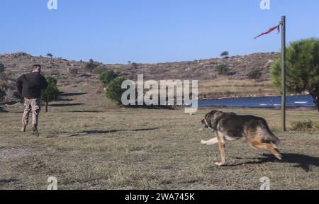 US-Streitkräfte. 151026AW179-107 DOGANBEY, Türkei (26. Oktober 2015) – US-Marine-Lanze CPL. Devan D. Johnson, Militärpolizist bei der 26. Marine Expeditionary Unit (MEU), Rollenspiele als Patrouille/Sprengstoffdetektorhund bei der MEU, führt ein Angriffskommando als Teil einer militärischen Demonstration von Arbeitshunden für türkische Marines und Seeleute während der Übung Egemen vom 26. Oktober 2015 aus. Egemen ist eine von der Türkei geführte und veranstaltete amphibische Übung, die dazu dient, taktische Fähigkeiten und Interoperabilität zwischen den Teilnehmern zu verbessern. (U.S. Marine Corps Foto von CPL. Joshua W. Brown/veröffentlicht) Stockfoto