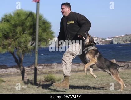 US-Streitkräfte. 151026AW179-143 DOGANBEY, Türkei (26. Oktober 2015) – US-Marine-Staff-Sgt. Kyle S. Purington, Leiter der Wartung des Kampflogistik-Bataillons 26, 26. Marine Expeditionary Unit (MEU), spielt Rollenspiele als flüchtiger Häftling während eines Patrouille-/Sprengstoffdetektorhundes bei der MEU, führt ein Angriffskommando als Teil einer militärischen Demonstration für türkische Marines und Seeleute während der Übung Egemen vom 26. Oktober 2015 aus. Egemen ist eine von der Türkei geführte und veranstaltete amphibische Übung, die dazu dient, taktische Fähigkeiten und Interoperabilität zwischen den Teilnehmern zu verbessern. (USA Stockfoto