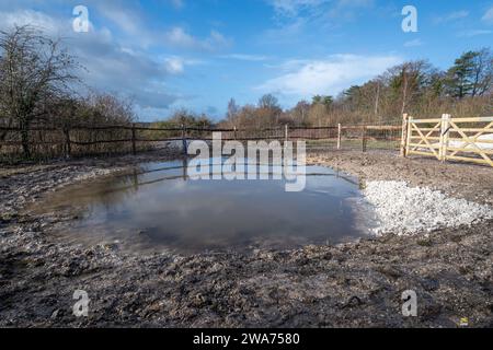 Ein neuer Wildteich wurde im Magdalen Hill Down Nature Reserve angelegt, einem Kreideflächen in der Nähe von Winchester, Hampshire, England, Großbritannien Stockfoto