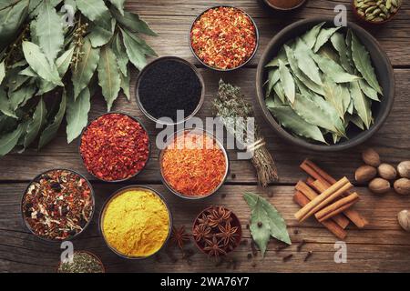 Schüsseln mit verschiedenen Gewürzen - roter Pfeffer, Paprika, Safran, schwarze Samen, Muskatnuss, Kardamom, Thymian, Anis, Handschuhe, Kurkuma, Zimt, Lorbeer. Anders Stockfoto