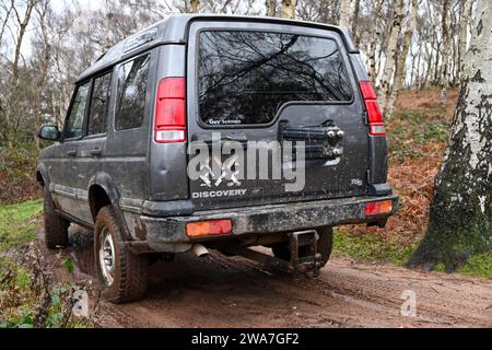 Geländewagen-Erlebnis in einem Green Landrover Discovery Fahrzeug, 4 x 4, Geländestrecke Stockfoto