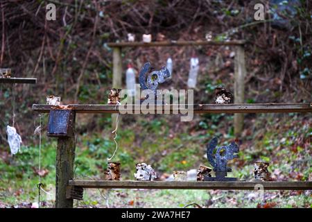 Ein Schießplatz mit Flaschen und Eichhörnchen auf alten Holzrahmen Stockfoto