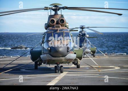 US-Streitkräfte. BALTIC SEA (8. Juni 2016) Ein Royal Netherlands Air Force Cougar aus der 300 Squadron liegt an Bord der HNLMS Johan de Witt während der Übung BALTOPS 2016 in der Ostsee. BALTOPS 2016 soll die Flexibilität und Interoperabilität verbessern und die Entschlossenheit der NATO und der Partnerkräfte zur Verteidigung des Ostseeraums demonstrieren. Es umfasst See-, Boden- und Luftstreitkräfte, um die kombinierten Reaktionsfähigkeiten zu stärken, die erforderlich sind, um regionale Stabilität zu gewährleisten und Freundschaft und gegenseitiges Verständnis zu fördern. (NATO-Foto von FSgt Cedric Artigues der französischen Luftwaffe/veröffentlicht) Stockfoto