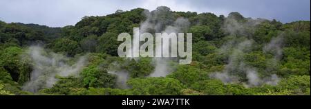 Dampf steigt aus heißen vulkanischen Quellen im Regenwald im Región von Las Paílas, Rincón de la Vieja Nationalpark, Guanacaste, Costa Rica. Stockfoto