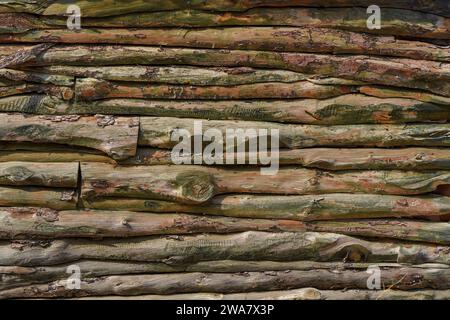 Strukturierte Oberfläche aus Holz. Wand aus Holzlatten Stockfoto