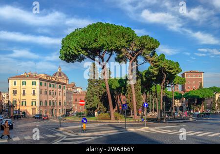 Blick auf die Piazza d'Aracoeli, einen Platz am Fuße des Kapitolshügels in Rom, Italien. Die Kiefern Roms dominieren das Bild. Stockfoto