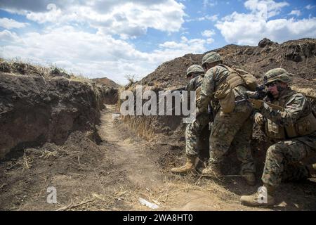 US-Streitkräfte. 170715QX735-0022 SHIROKYI LAN, Ukraine (15. Juli 2017)- - US-Marines mit 3. Bataillon, 23. Marine-Regiment, Schützengräben während des Trainings am 15. Juli in Shirokyi Lan, Ukraine, im Rahmen der Übung Sea Breeze 2017. Sea Breeze ist eine von den USA und der Ukraine gemeinsam veranstaltete multinationale Luft-, Land- und Seeverkehrsübung, die zur Stärkung der kollektiven Sicherheit, Stabilität und Sicherheit im Schwarzen Meer bestimmt ist. (Foto des U.S. Marine Corps von Staff Sgt. Marcin Platek/veröffentlicht) Stockfoto