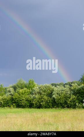 Echter Regenbogen im dunklen Himmel. Ländliche Landschaft mit Feldern und Bäumen. Stockfoto