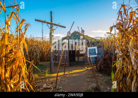 Quebec, Kanada - 29. Oktober 2023: Halloween-Dekoration in einem Maisfeld-Labyrinth in quebec im Herbst Stockfoto