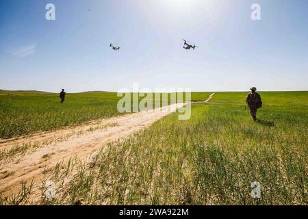 US-Streitkräfte. 20180314-CA957-0024 HAIFA, Israel (14. März 2018) US-Marines, die dem Tactical Recovery of Aircraft Personals (TRAP) Team, 26th Marine Expeditionary Unit (MEU), zugewiesen sind, führen eine simulierte Suchmission in Haifa, Israel, während der Übung Juniper Cobra 2018 am 14. März 2018 durch. Juniper Cobra ist eine computergestützte Übung, die durch Computersimulationen durchgeführt wird und sich auf die Verbesserung der kombinierten Raketenabwehrkapazitäten und der Interoperabilität zwischen dem US-amerikanischen European Command und der israelischen Verteidigungsstreitkräfte konzentriert. (U.S. Marine Corps Foto von Lance CPL. Tojyea G. Matally/veröffentlicht) Stockfoto