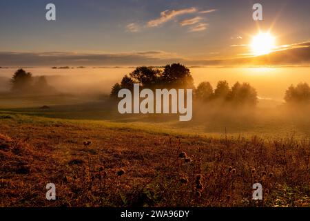 Sonnenaufgang auf dem Fluss Biebrza im Nationalpark Biebrza. Burzyn, Podlasie, Polen, Europa Stockfoto