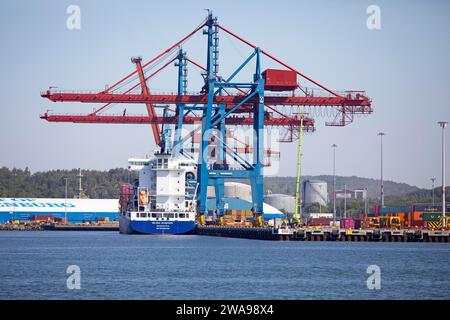 Containerkran im Hafen Göteborg, Västra Götalands län, Schweden, Europa Stockfoto