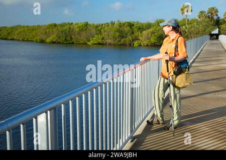 Trail Bridge zum Marsh Rabbit Run Trail, Jack Island Preserve State Park, Fort Pierce, Florida Stockfoto