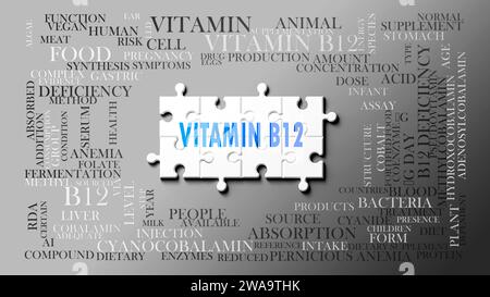 Vitamin b12 - ein komplexes Thema, das mit vielen Begriffen zusammenhängt. Dargestellt als Puzzle und Wortwolke aus den wichtigsten Ideen und Phrasen im Zusammenhang mit V Stockfoto