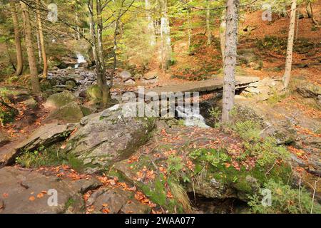 Impressionen aus Bodenmais im Bayerischen Wald Stockfoto