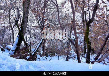 Darband ist der Beginn eines beliebten Wanderweges zum Berg Tochai, der über Teheran im Iran thront. In der Gegend gibt es viele Cafés und Restaurants. Stockfoto