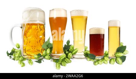 Bier-Panorama mit frischem Hopfen isoliert auf weißem Hintergrund Stockfoto