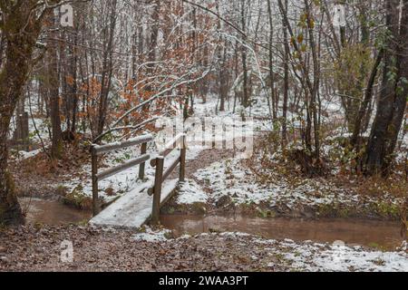 Kleine Holzbrücke über einen kleinen Bach im verschneiten Wald. Traumhafter und schöner Weg über die Brücke, Winterkulisse, verlässt sich. Stockfoto