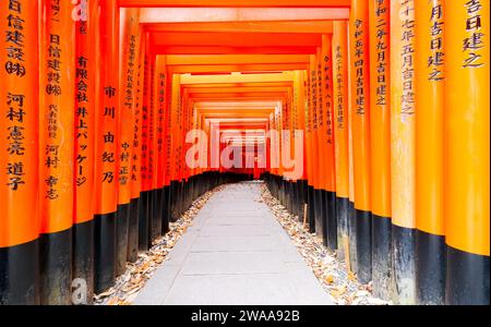 Rote Torii Tore in Fushimi Inari Schrein in Kyoto, Japan Stockfoto