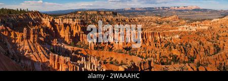 Bryce Canyon Panorama bei Sonnenuntergang, Utah, Berge, Panorama mit Hoodoos und langen Schatten. Orange, im späten Frühling. Stockfoto