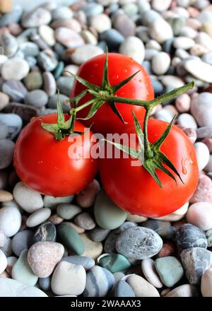 Drei frische ganze Tomaten auf Einem glatten Rocks, vertikales Stockfoto von oben Stockfoto