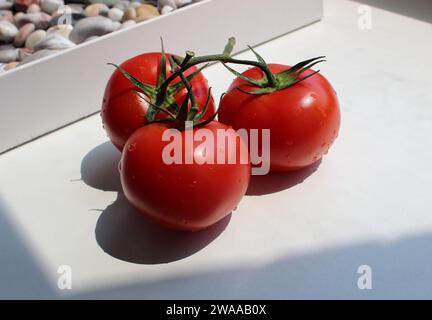 Drei frische rote Tomaten auf einer weißen Küchenfensterbank unter Sonnenlicht Stockfoto Stockfoto