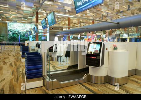 SINGAPUR - 07. NOVEMBER 2023: Gepäckabgabe im Terminal 3 des Flughafens Singapur Changi. Stockfoto