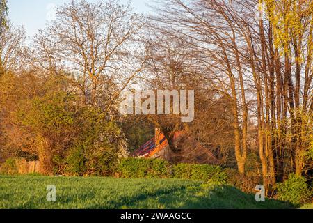 Licht eines späten Frühlingnachmittags auf einer Landlandschaft Stockfoto